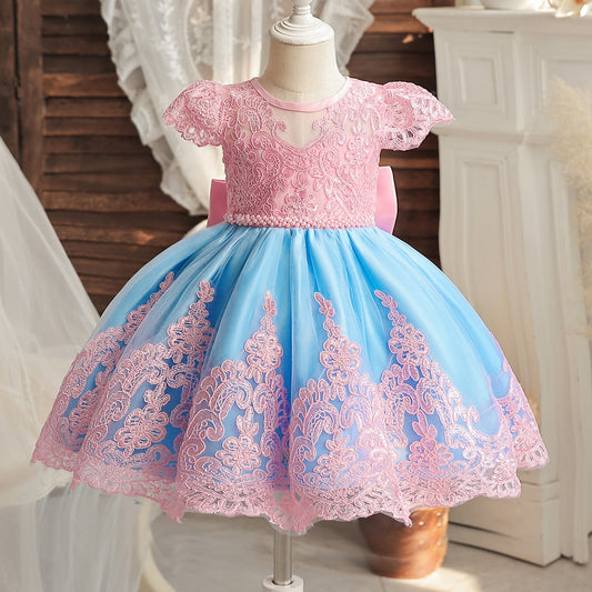 Baby Embroidery Floral Dress